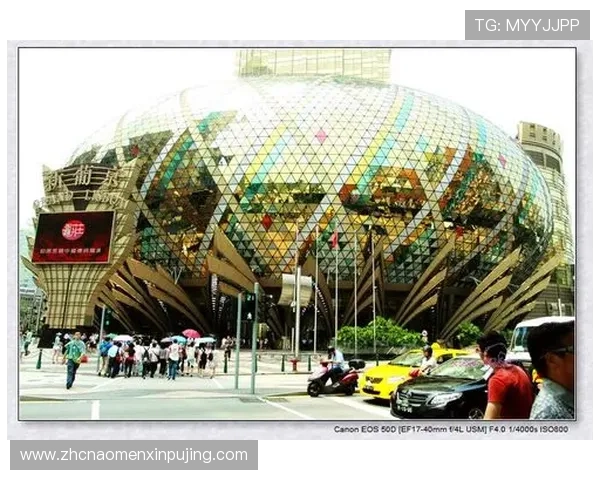 澳门新京平台官网最新消息全面解析，助你掌握第一手资讯